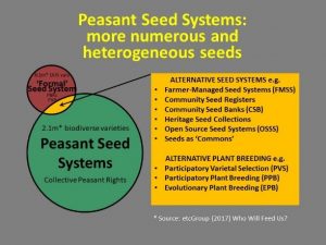 Peasant seed systems diagram